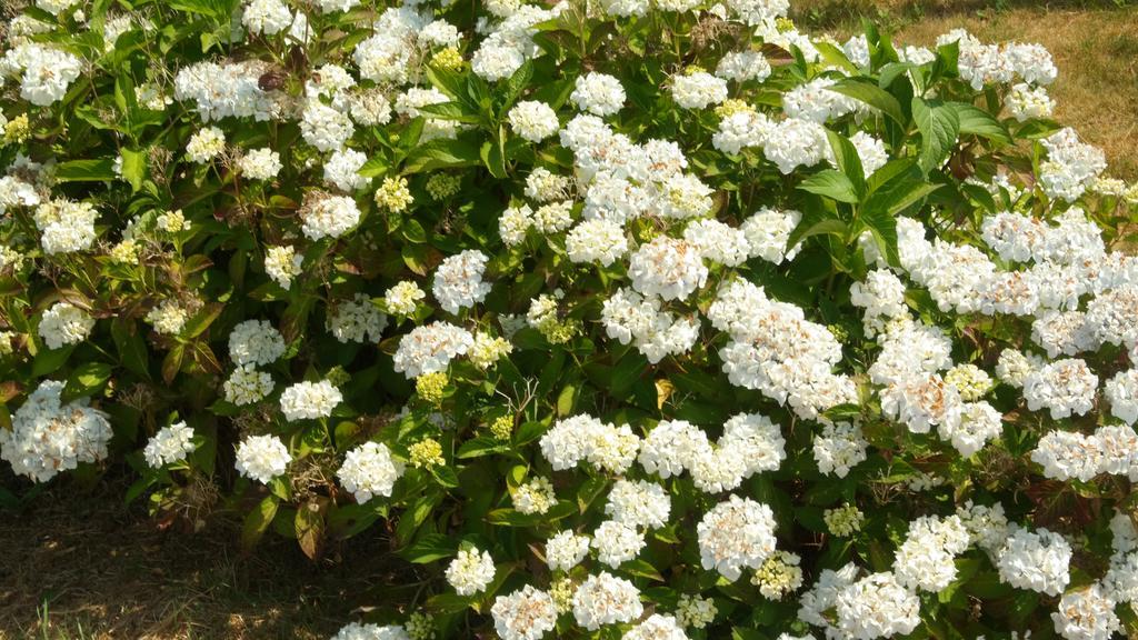 Sarl Verrerie Royale Val-Couesnon 外观 照片